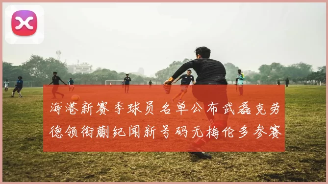海港新赛季球员名单公布武磊克劳德领衔蒯纪闻新号码无梅伦多参赛