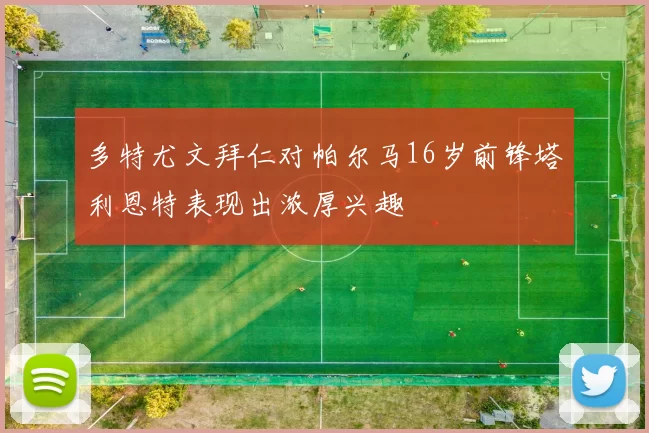 多特尤文拜仁对帕尔马16岁前锋塔利恩特表现出浓厚兴趣
