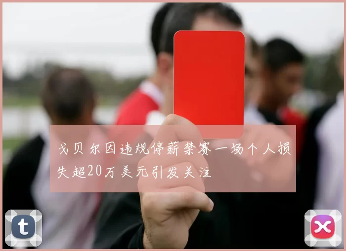 戈贝尔因违规停薪禁赛一场个人损失超20万美元引发关注